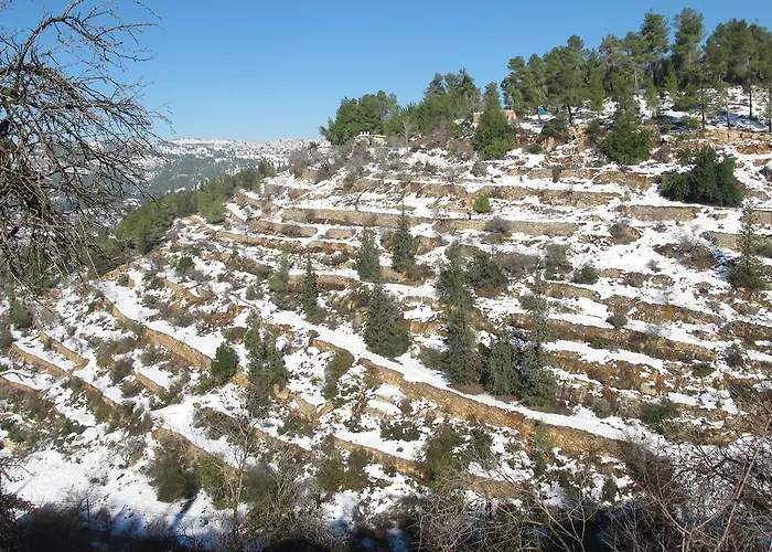 The Nest - A Romantic Vacation Home In Ein Kerem - Jerusalem